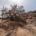 Rouille désertique / Desert rust