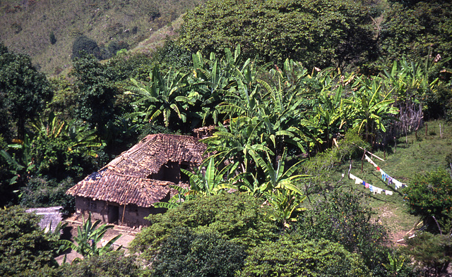 Columbia, Ecuador 1994