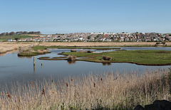 EOS 6D Peter Harriman 10 25 29 2667 LodmoorRSPB dpp