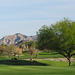 Palm Springs / virus / golf course access (# 0167)
