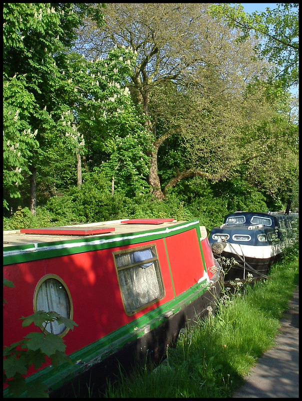 houseboats in spring