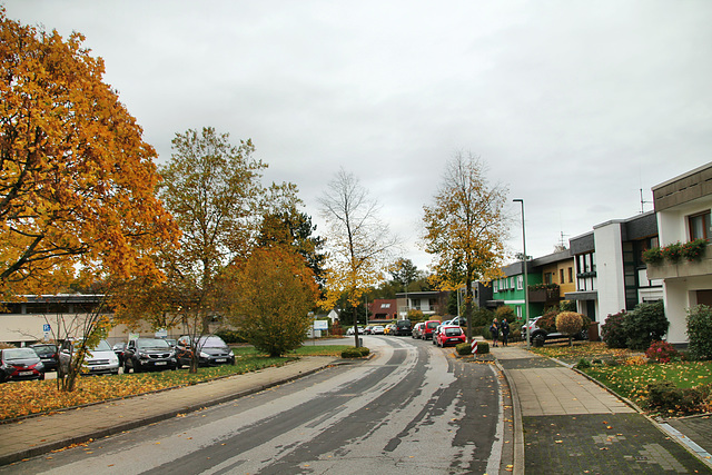 Ochsenkamp (Gevelsberg) / 24.10.2020