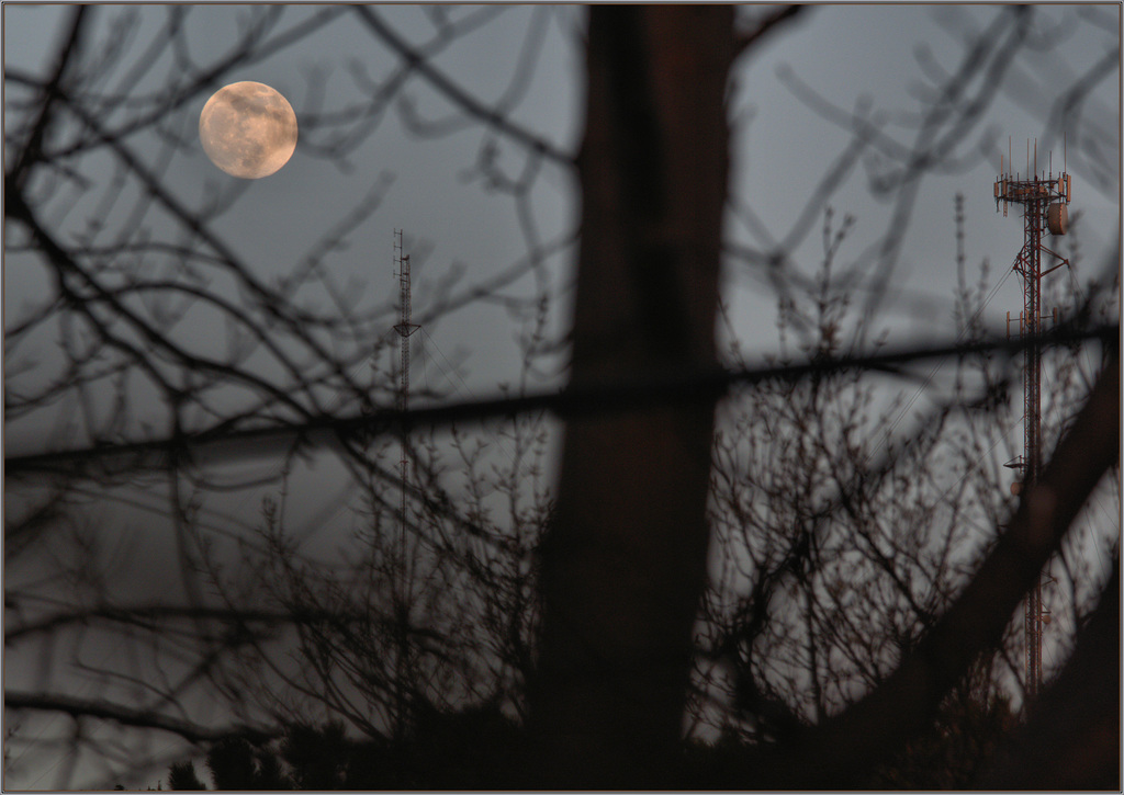 Moonrise in the city