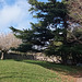 Le jardin public a Chateaurenard 45