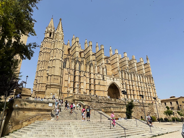 Palma cathedral 4