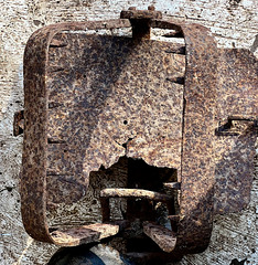 19th Century Man Trap - which fortunately I did not step on!