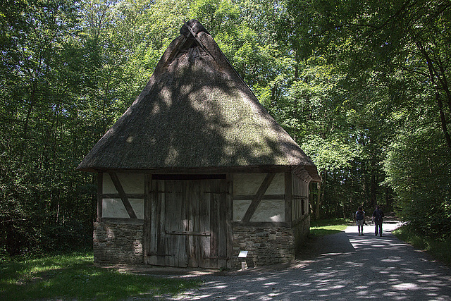 20140719 4236VRAw [D~LIP] HDR3  Freilichtmuseum Detmold