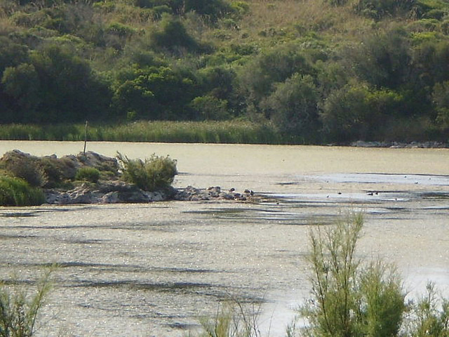 View from bird watching cabin.