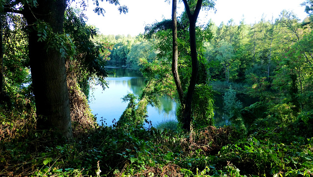 DE - Brühl - Donatussee