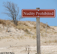 NO ---> Nudity