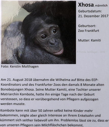 Neues Schild im Menschenaffenhaus (Wilhelma)