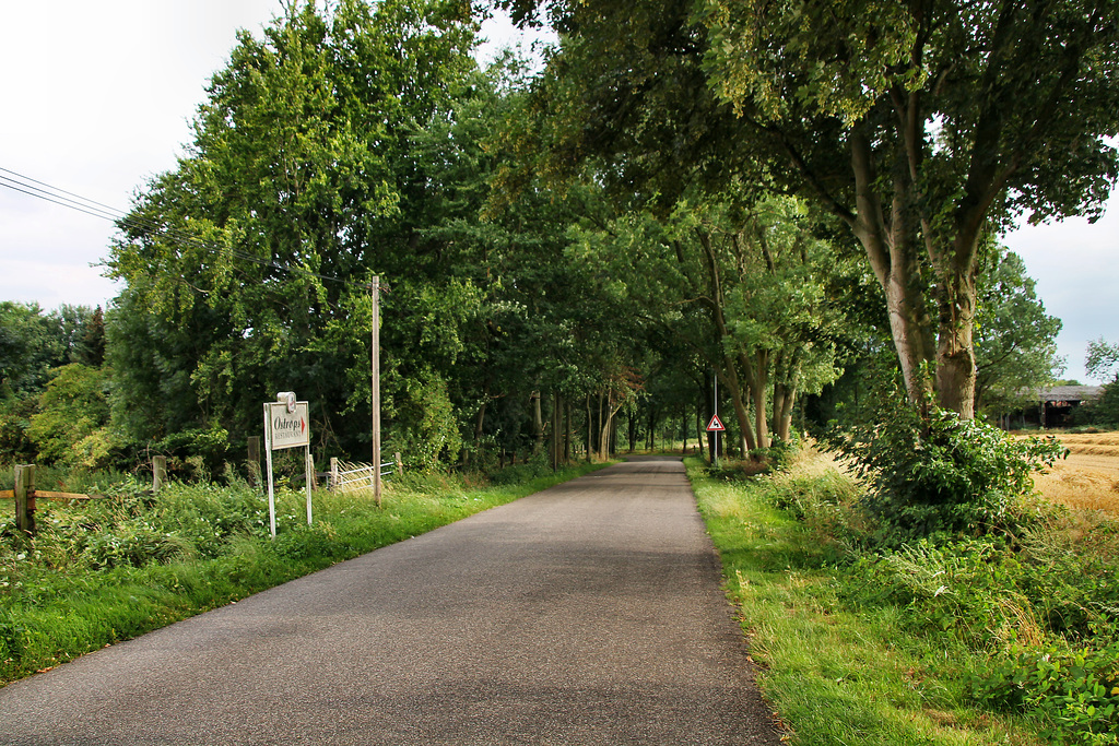 Brauckstraße (Gelsenkirchen-Buer) / 25.07.2022