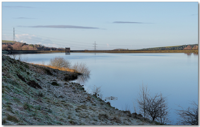 Piethorne in the frost