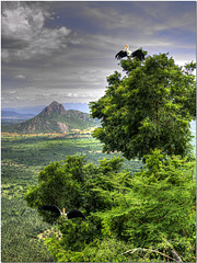 On the Western Ghats