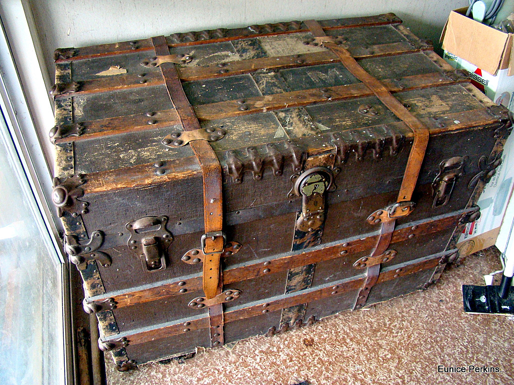 Travel Trunk.