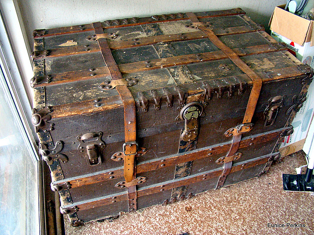 Travel Trunk.