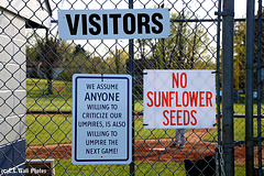 NO --->  Sunflower Seeds