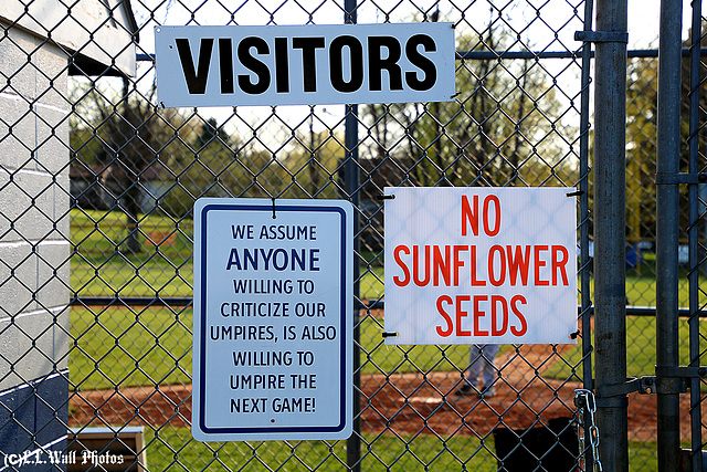 NO --->  Sunflower Seeds