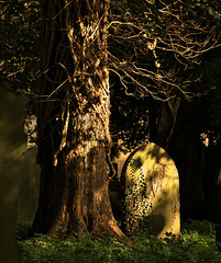 Light At Preston Cemetery. North Shields