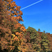 Herbst in Oberschwaben