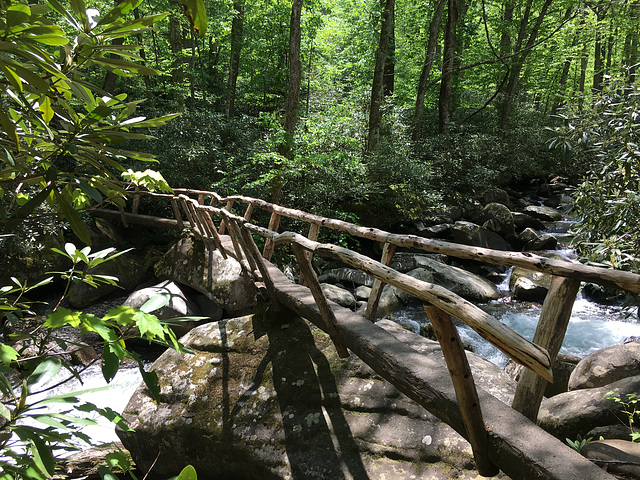 Porter's Creek Trail