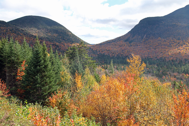 In the Whtie Mountains