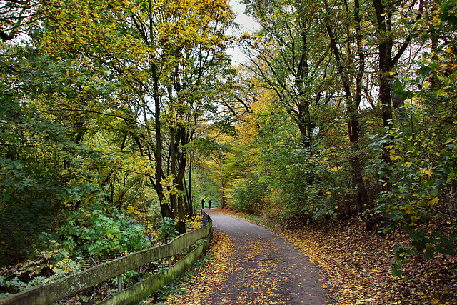 Stefanstraße (Gevelsberg) / 24.10.2020