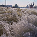 Elbwasser des Hafens in Hamburg