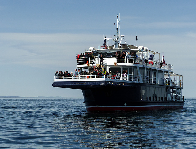 Day 7, whaling boat off Tadoussac, Quebec