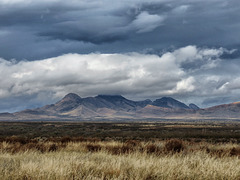 The Mustang Mountains