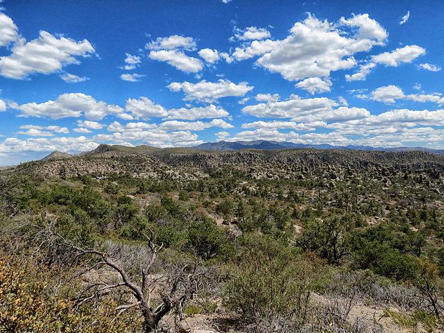 Chiricahua National Monument