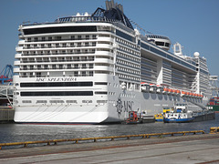 MSC Splendida   Teil 2