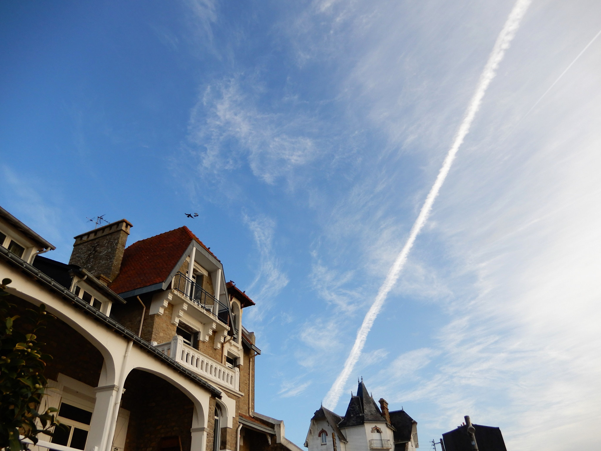 les oiseaux ne laissent pas de traces dans le ciel