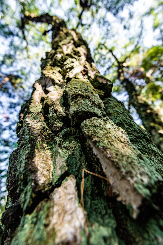 20220816- DSC8792
