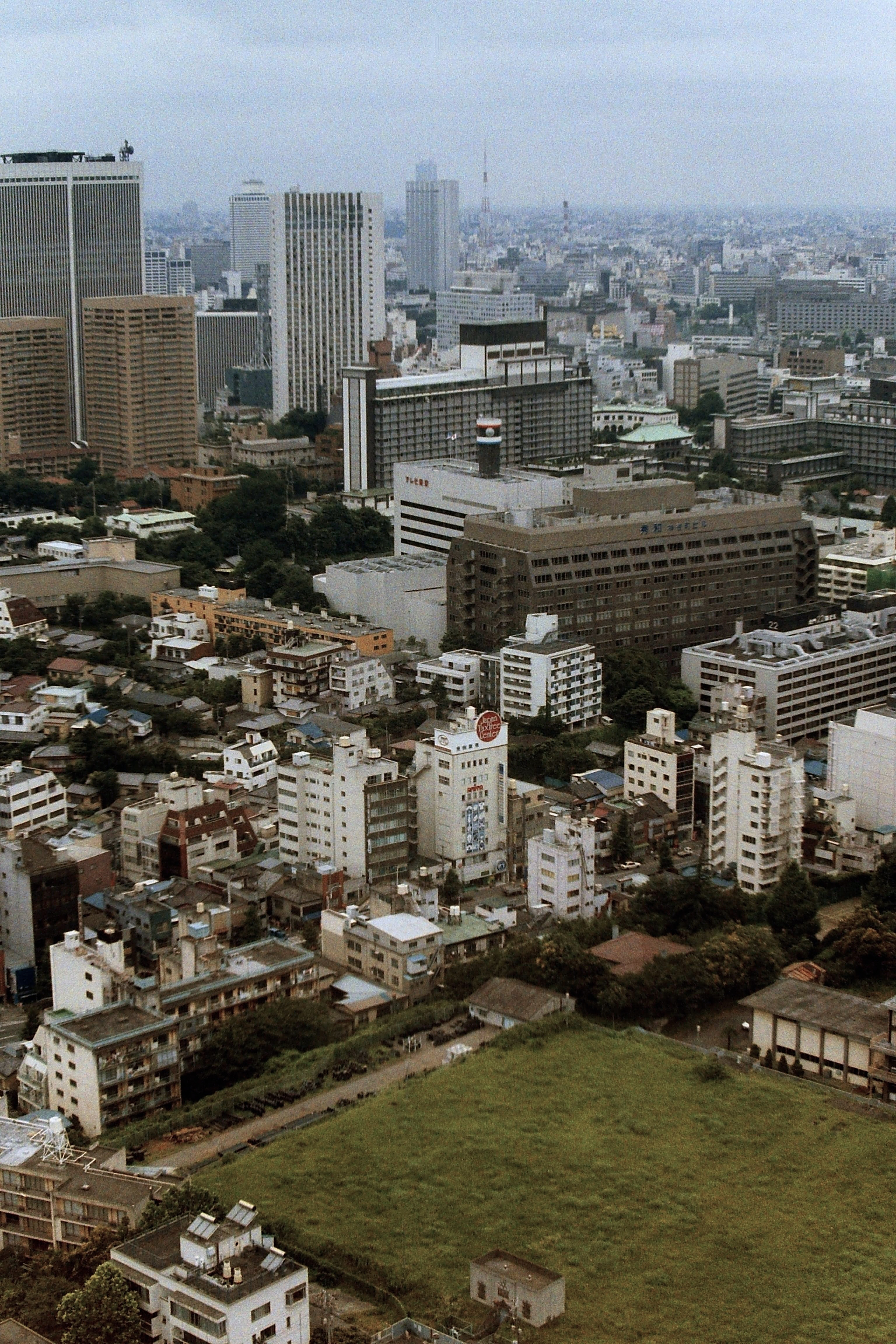 View from Tokyo Tower (48-24)