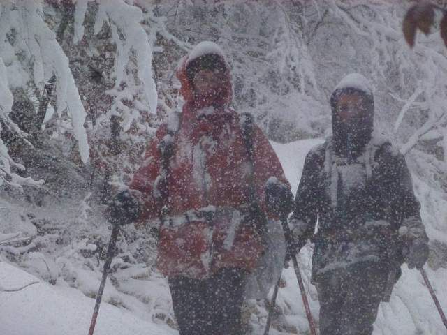 20150221 Raquettes Vercors Col de la Machine (90) al