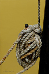 Rope...