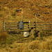 Over the stile and up and up