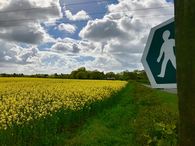 Walk across the fields