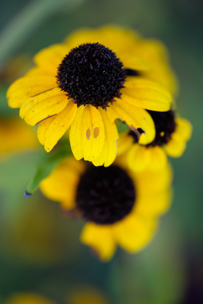 DSCF5791