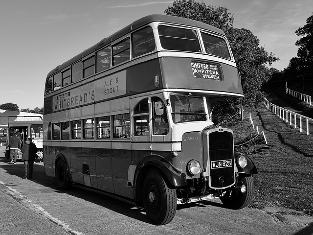 tfoct242021 (1072)