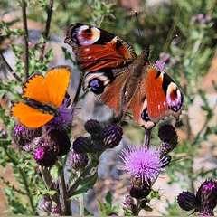 You and me. Imperfection of love.