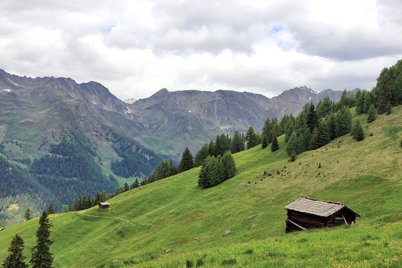 auf dem Weg von der Stumpfalm zur Kaser Alm - Gsiesertal