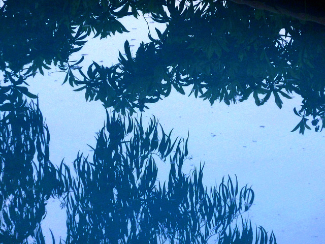 Blue reflections in blue water