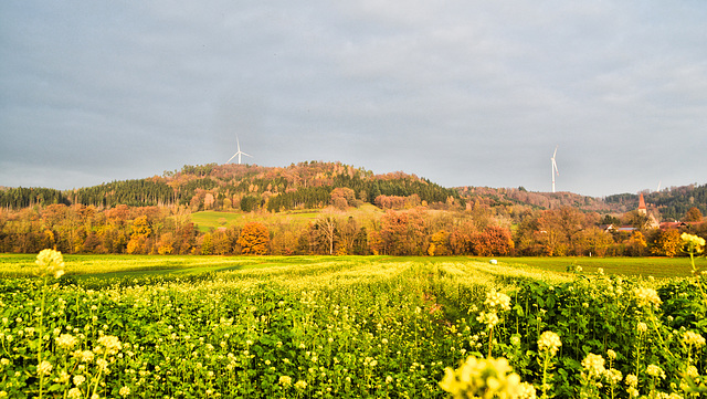 Naturpark Schwäbisch-Fränkischer Wald,Gaildorf