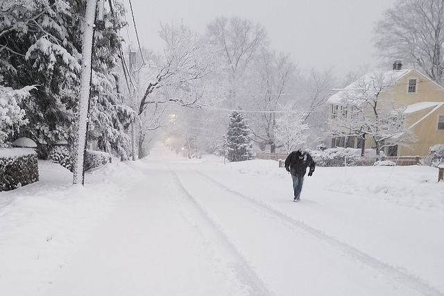 Walking in the falling snow (Explored)