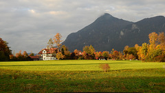 Das war der goldene Herbst