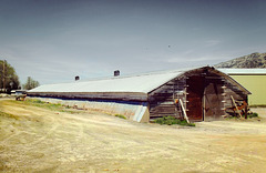 Potato cellar