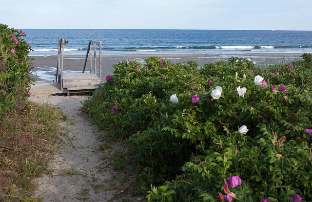 Stairs to beach, Maine