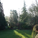 Fulbourn garden 2011-01-18 004